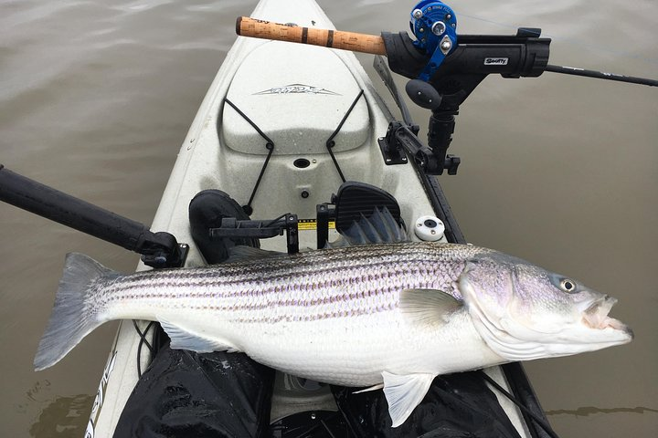 Guided Kayak Fishing Tour - Photo 1 of 4